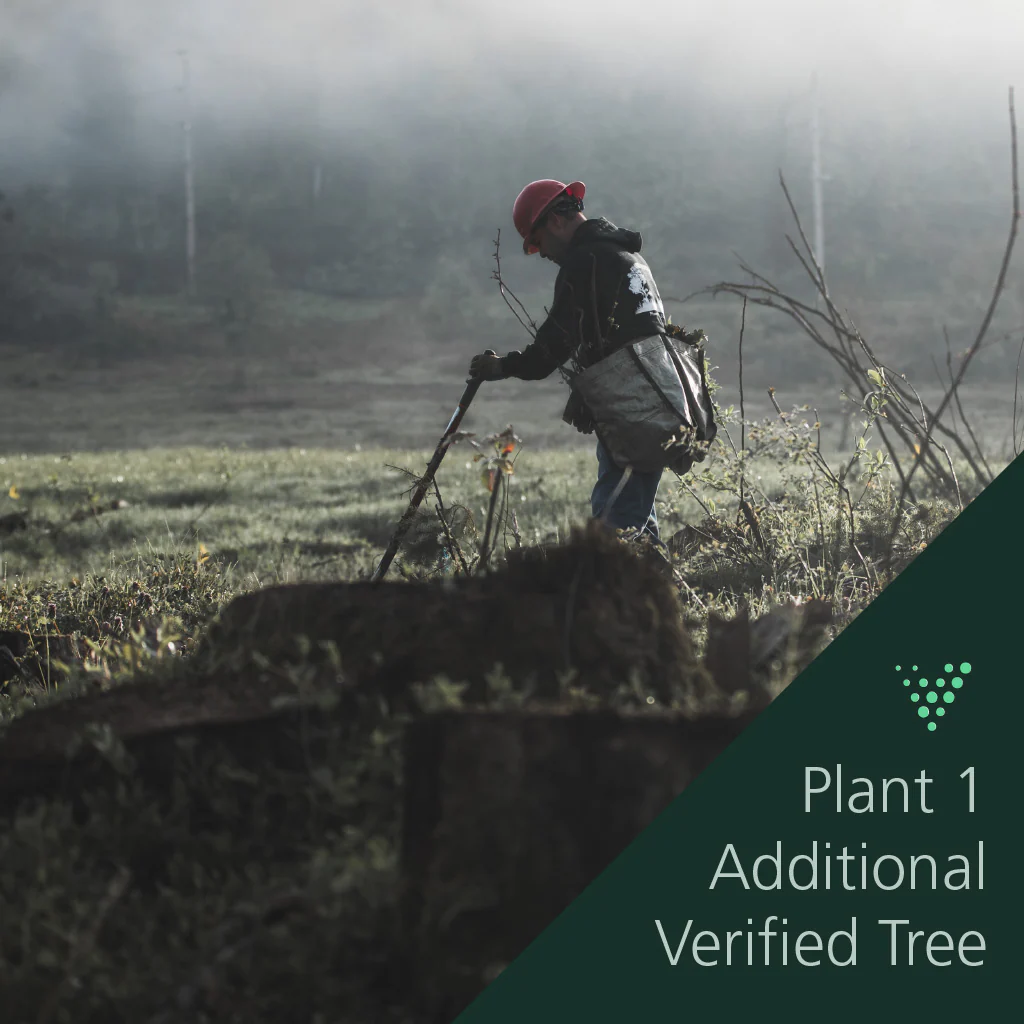 Plant a tree