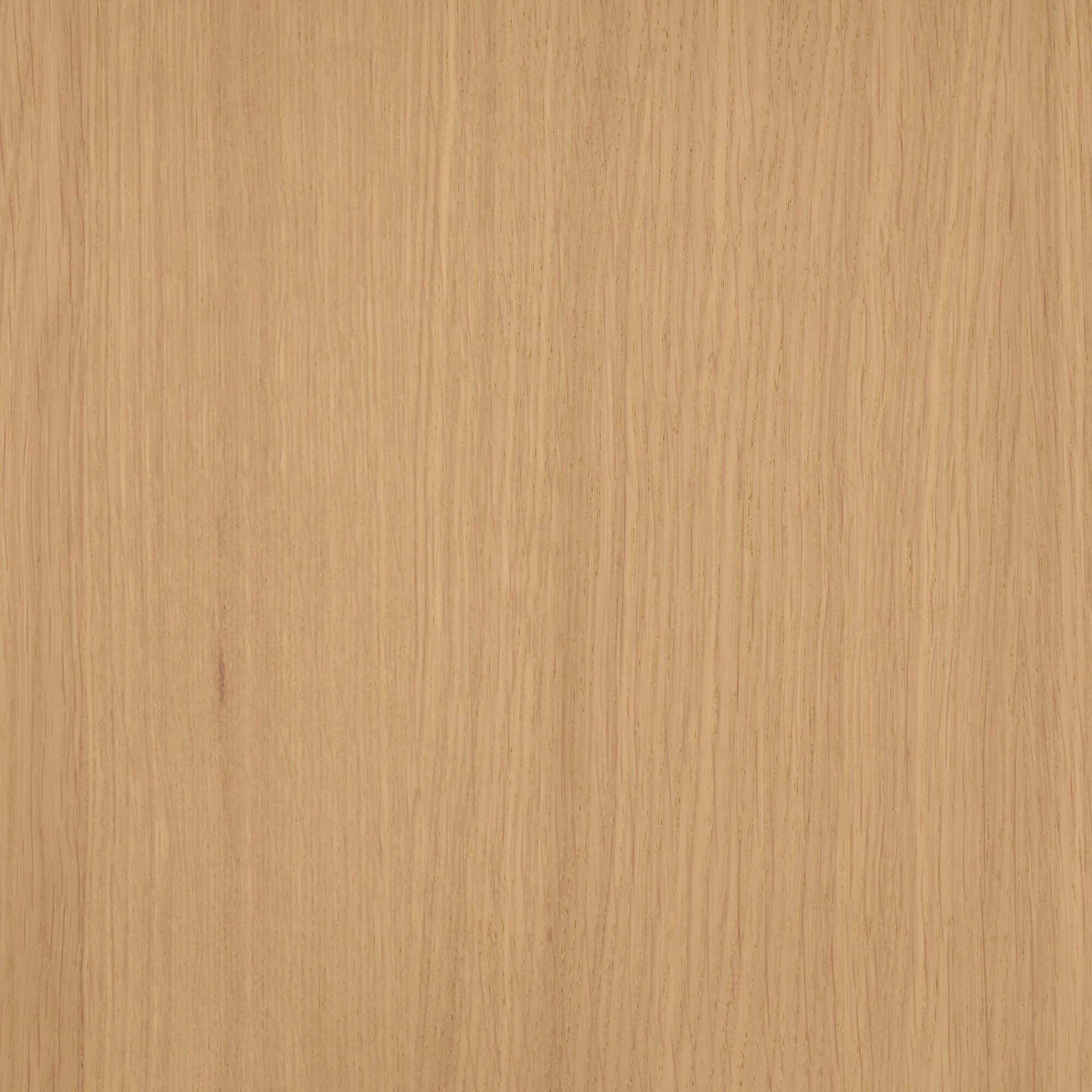 Oil Plus 2C - 1.3 Liter - Image 112