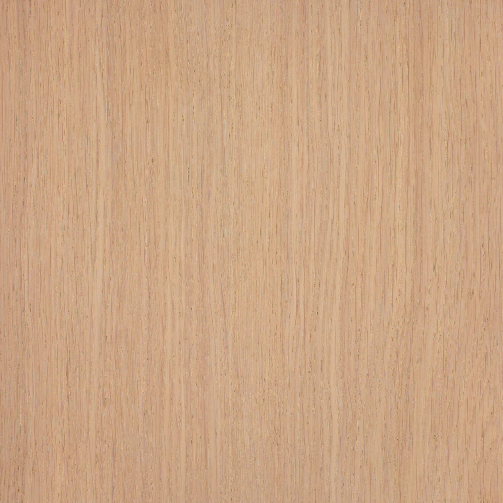 Oil Plus 2C - 1.3 Liter - Image 118