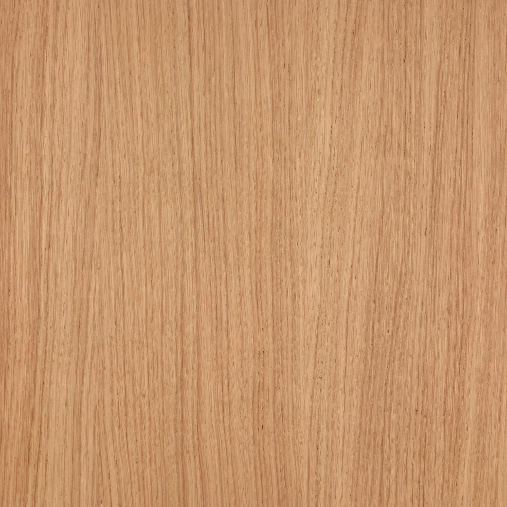 Oil Plus 2C - 1.3 Liter - Image 19