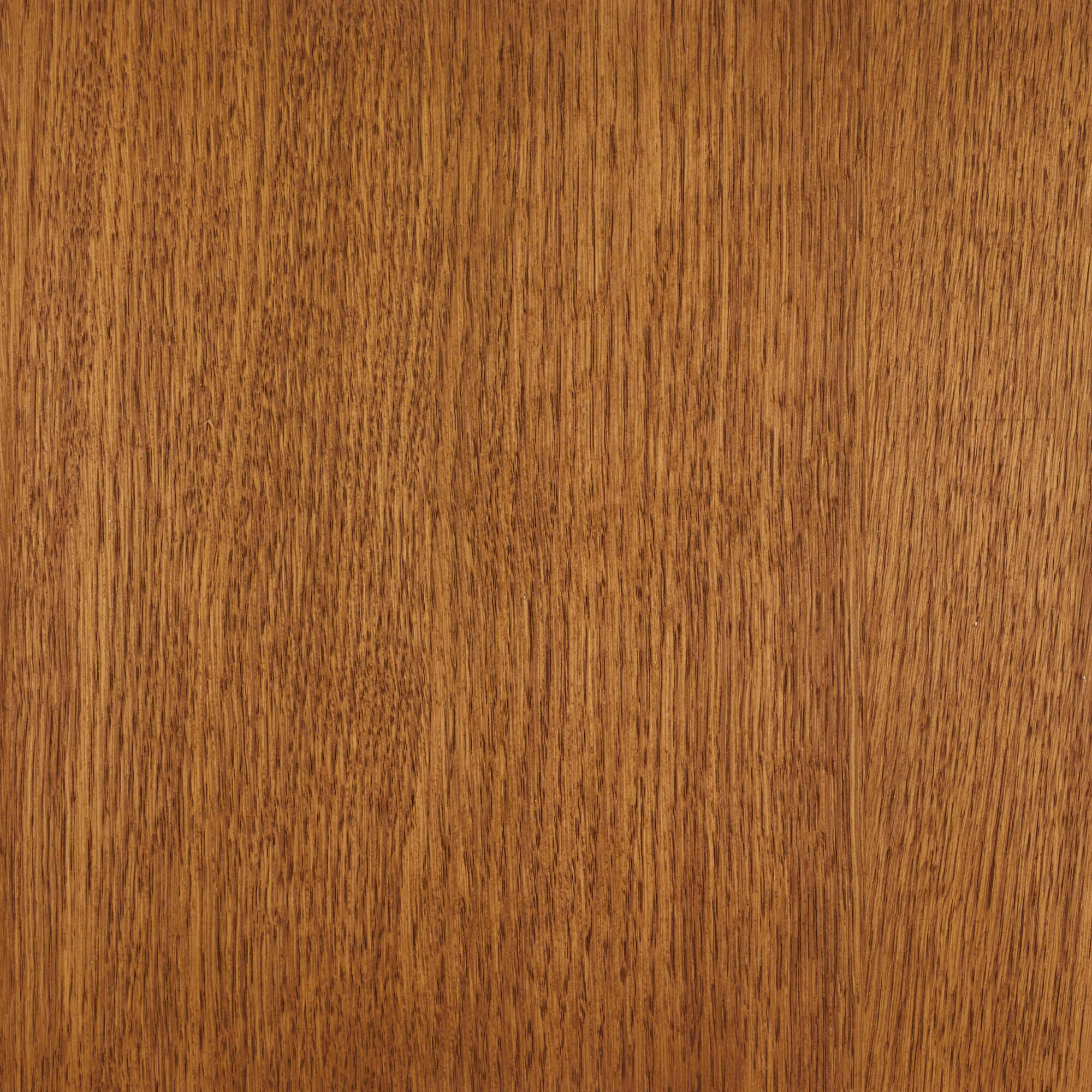 Oil Plus 2C - 1.3 Liter - Image 25