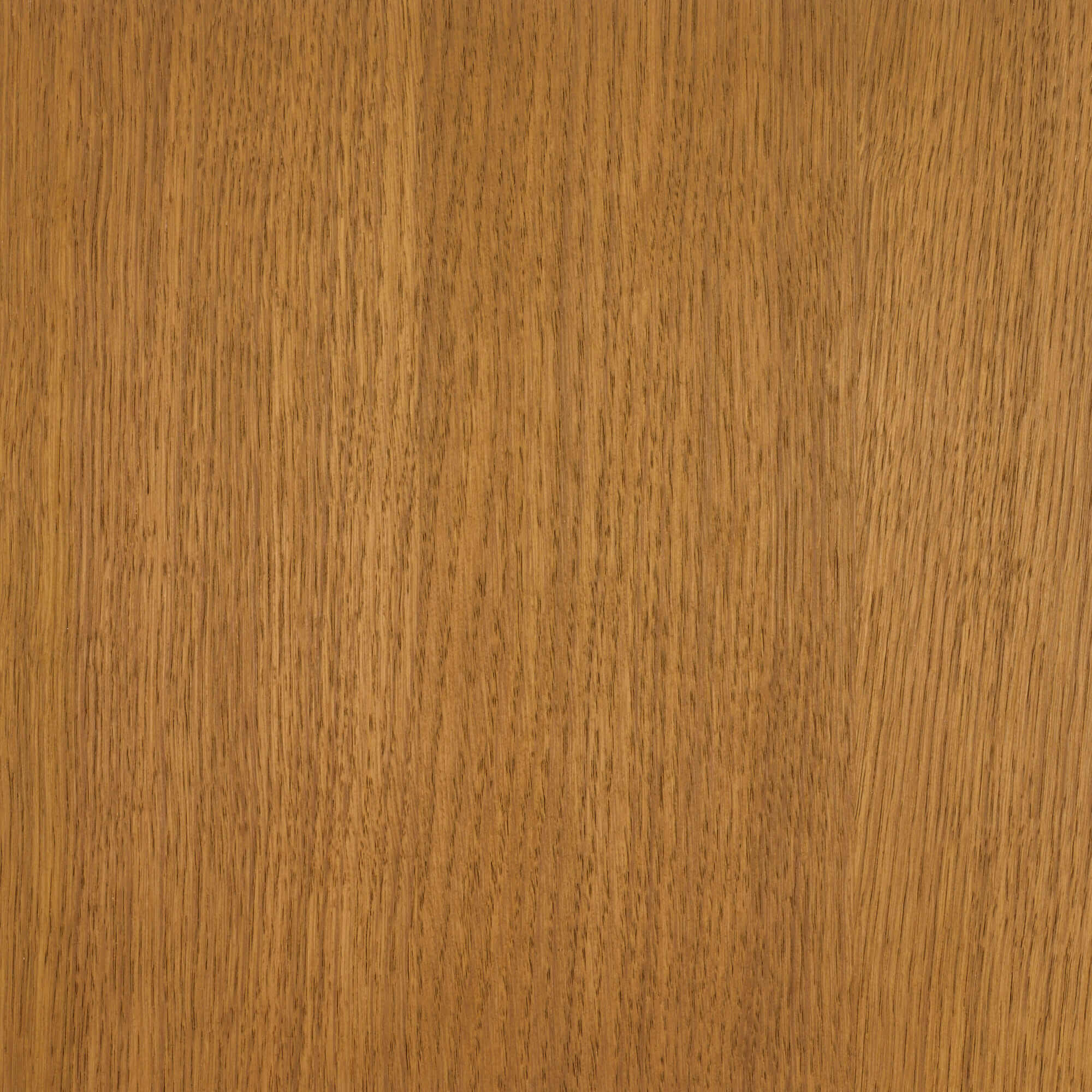 Oil Plus 2C - 1.3 Liter - Image 31