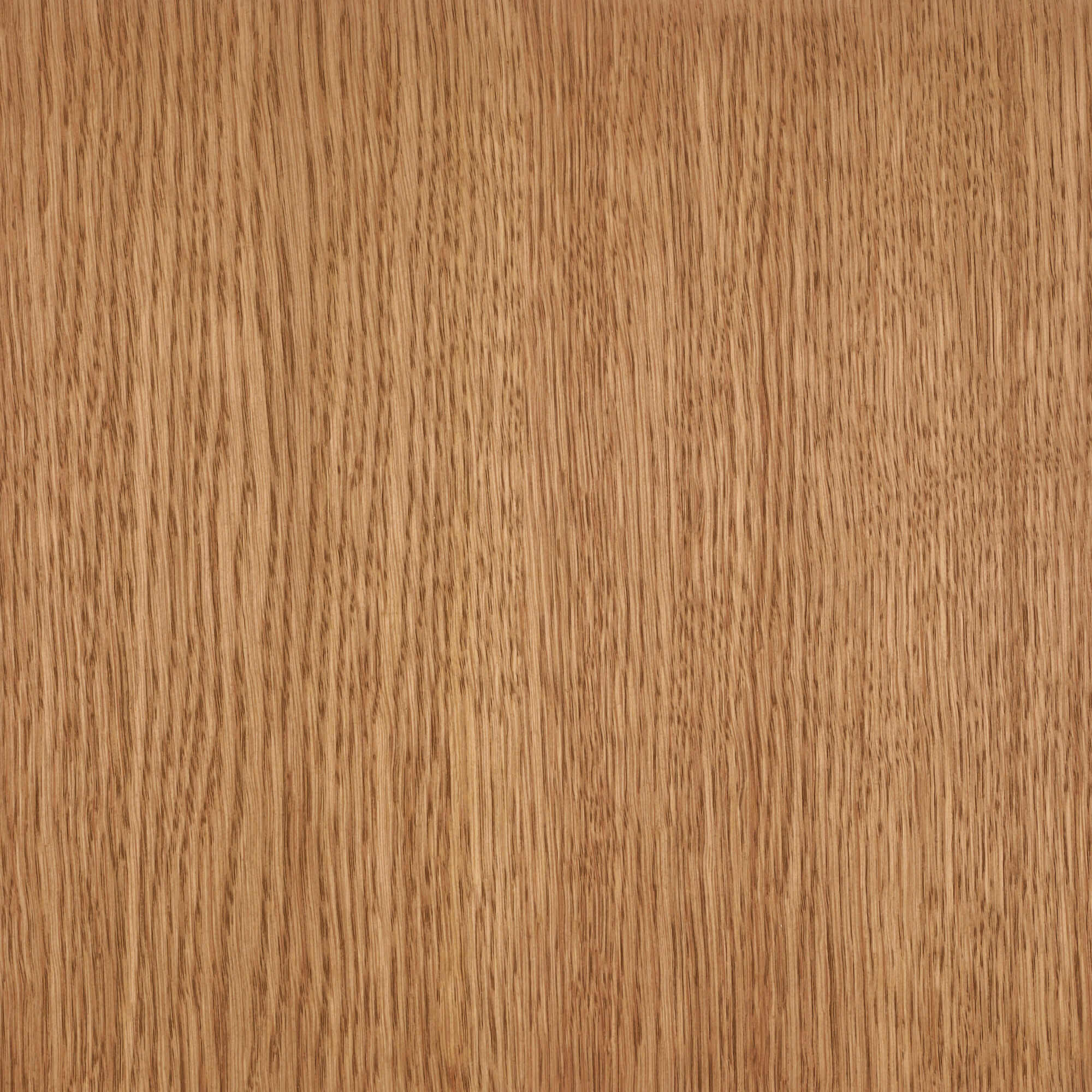 Oil Plus 2C - 1.3 Liter - Image 34