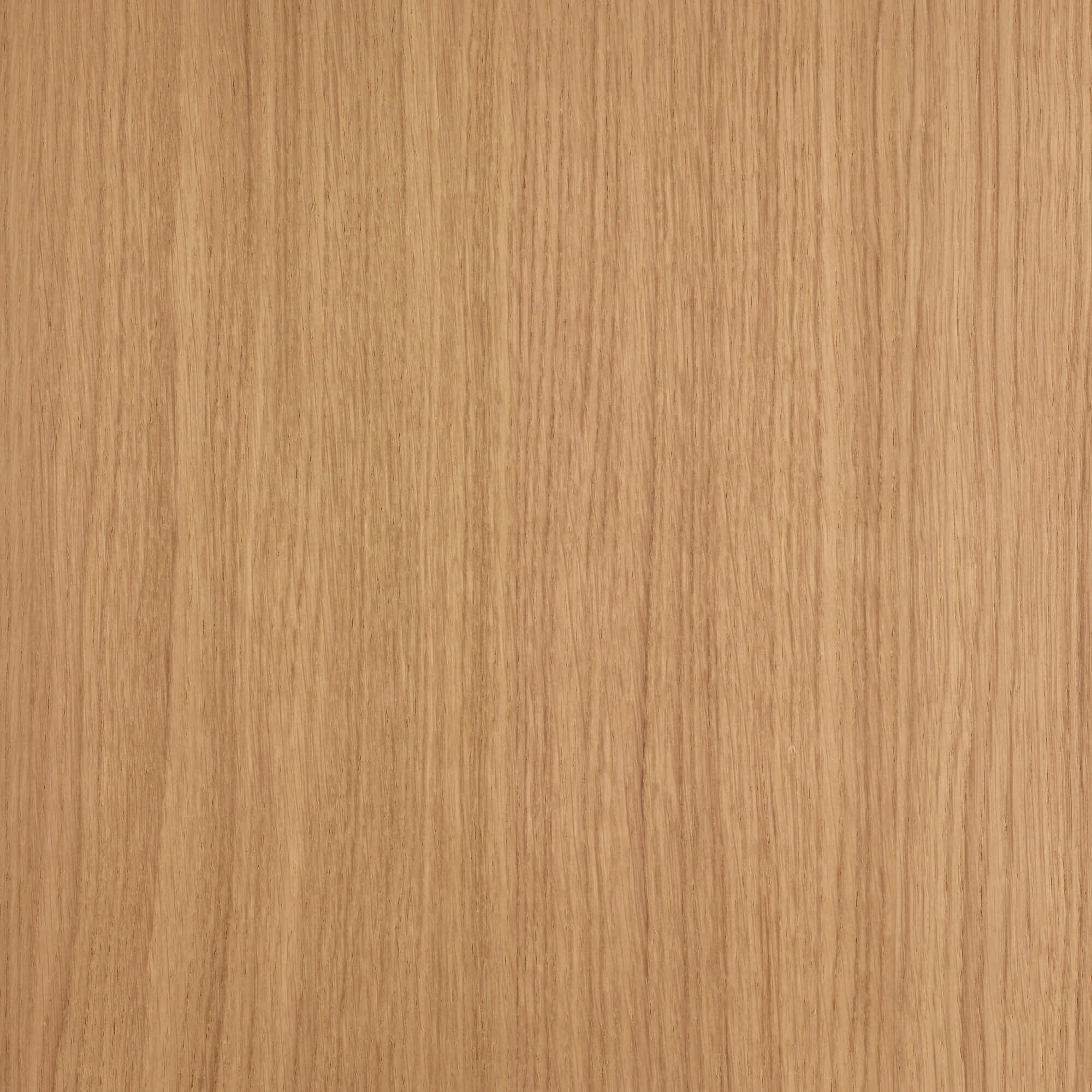 Oil Plus 2C - 1.3 Liter - Image 94