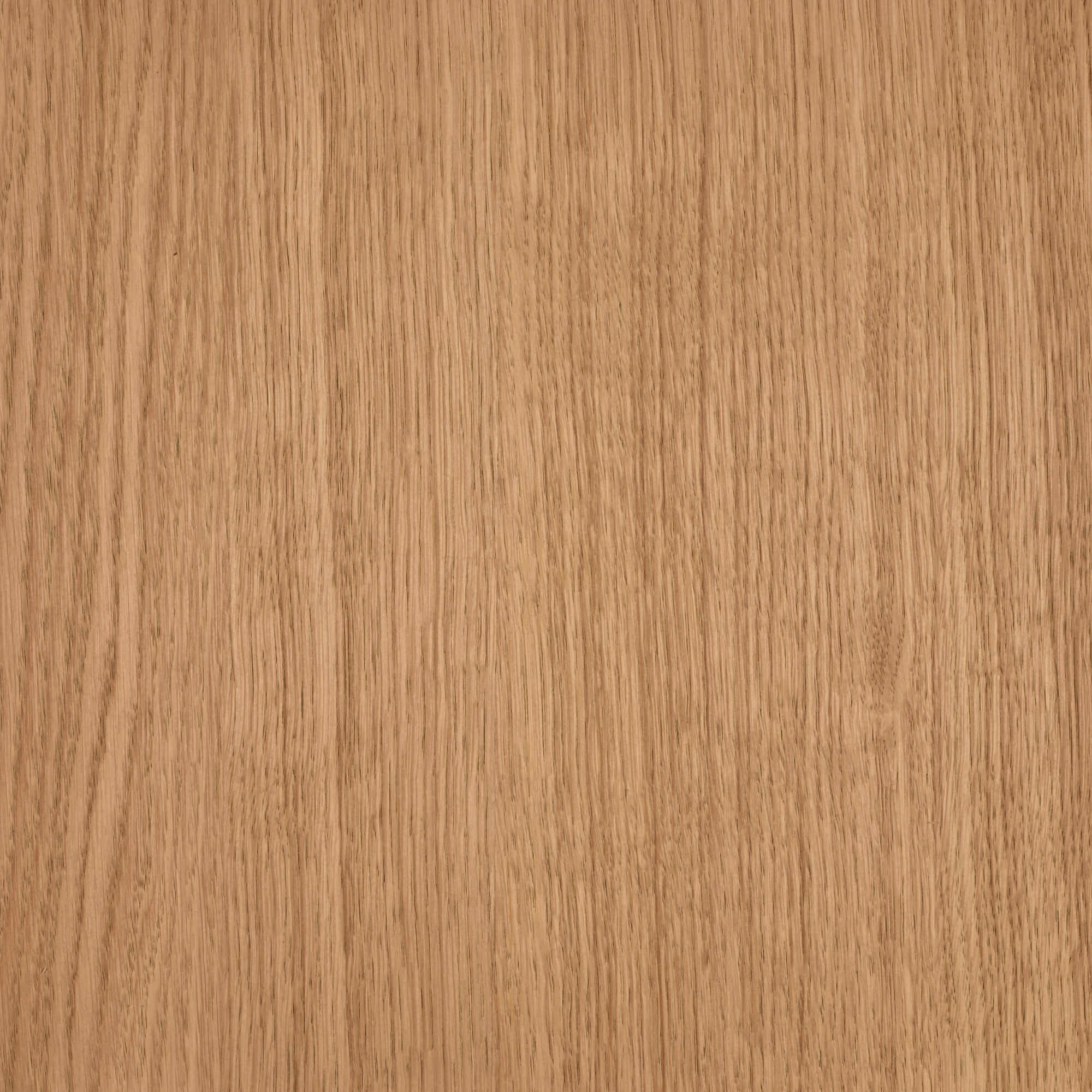 Oil Plus 2C - 1.3 Liter - Image 46