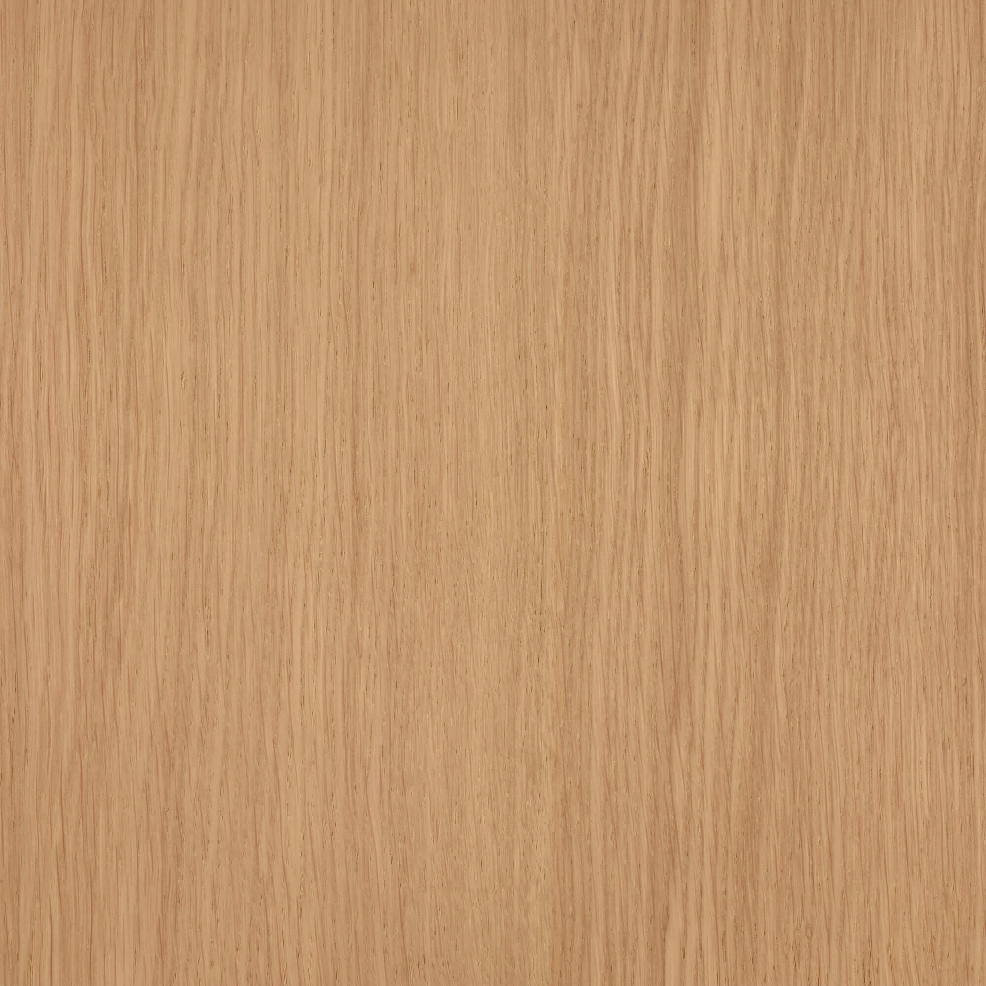 Oil Plus 2C - 1.3 Liter - Image 106